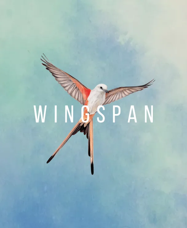 Vuelve Wingspan